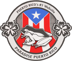 Paradise Puerto Rico
